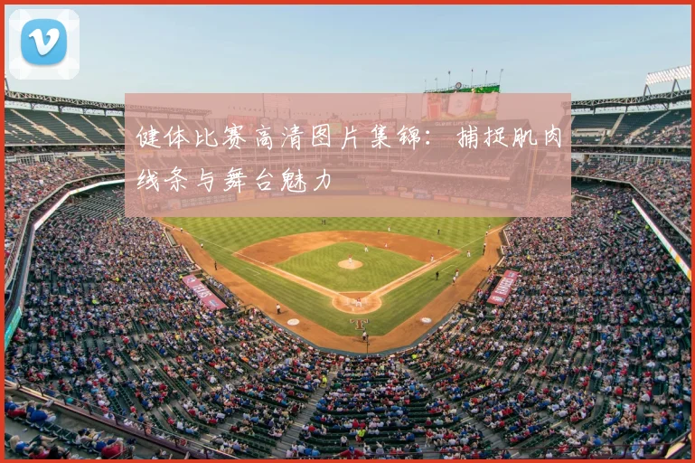 健体比赛高清图片集锦：捕捉肌肉线条与舞台魅力