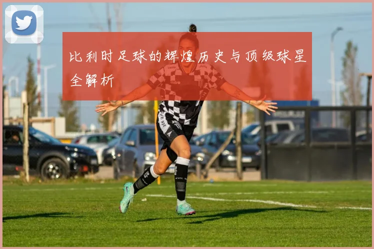 比利时足球的辉煌历史与顶级球星全解析
